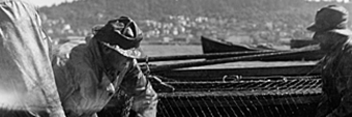 Історія промислу ікри