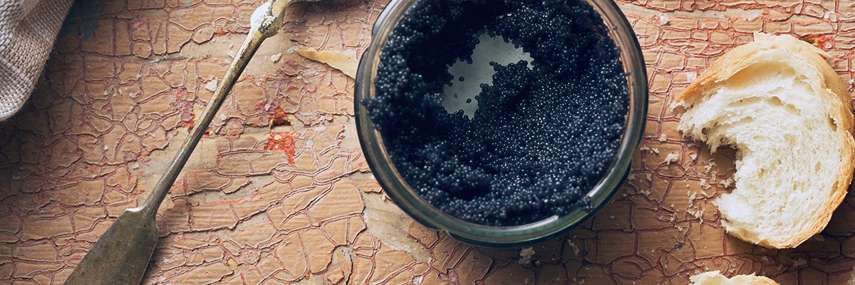 polzya-chernoy-ikry-94255366217758[1]