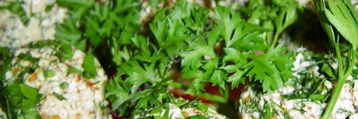 rybnye-shariki-s-krasnoy-ikroy-46330824163224[1]