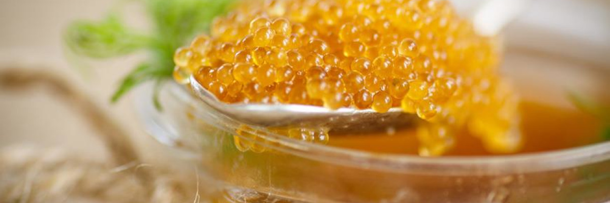 Смачна ікра щуки для Вас, завжди в наявності у нас.